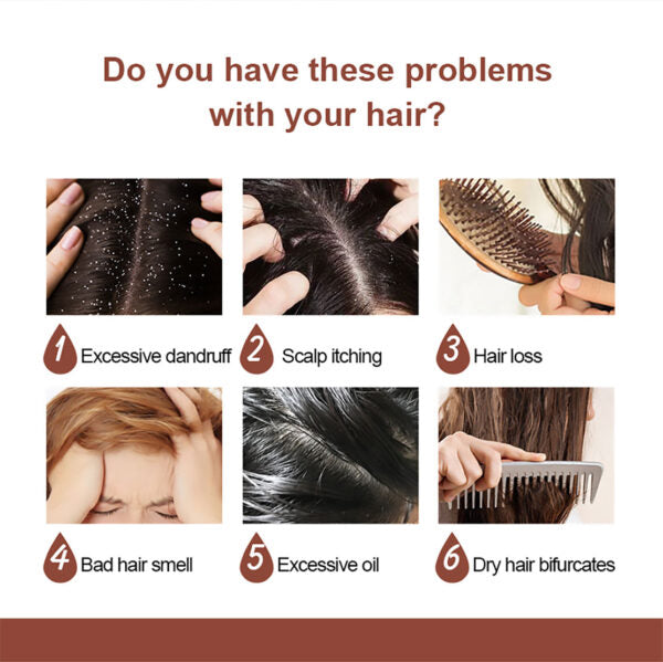 Hair care issues with corresponding images and text on a white background